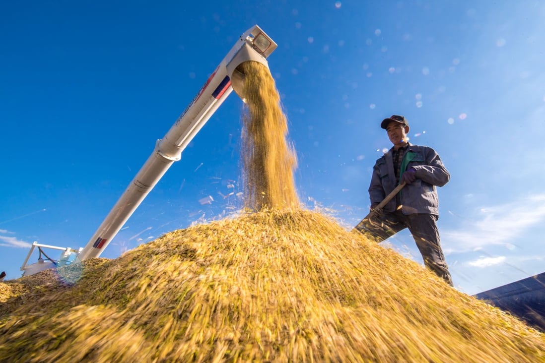 A farmer drying rice in Jilin, China, last year. Asia’s food security is heavily dependent on its millions of smallholder farmers, the most numerous in the world. Photo: Xinhua