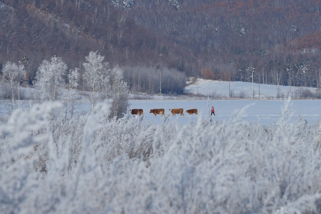 Families in northern China have traditionally used coal to keep themselves warm in winter. Photo: Xinhua