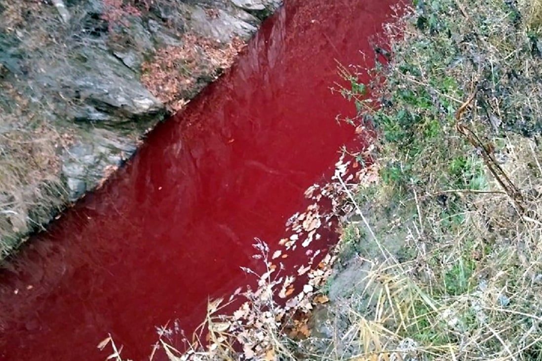A river coloured red with pig blood in Yeoncheon county near the Demilitarised Zone (DMZ) between North and South Korea. Photo: AFP