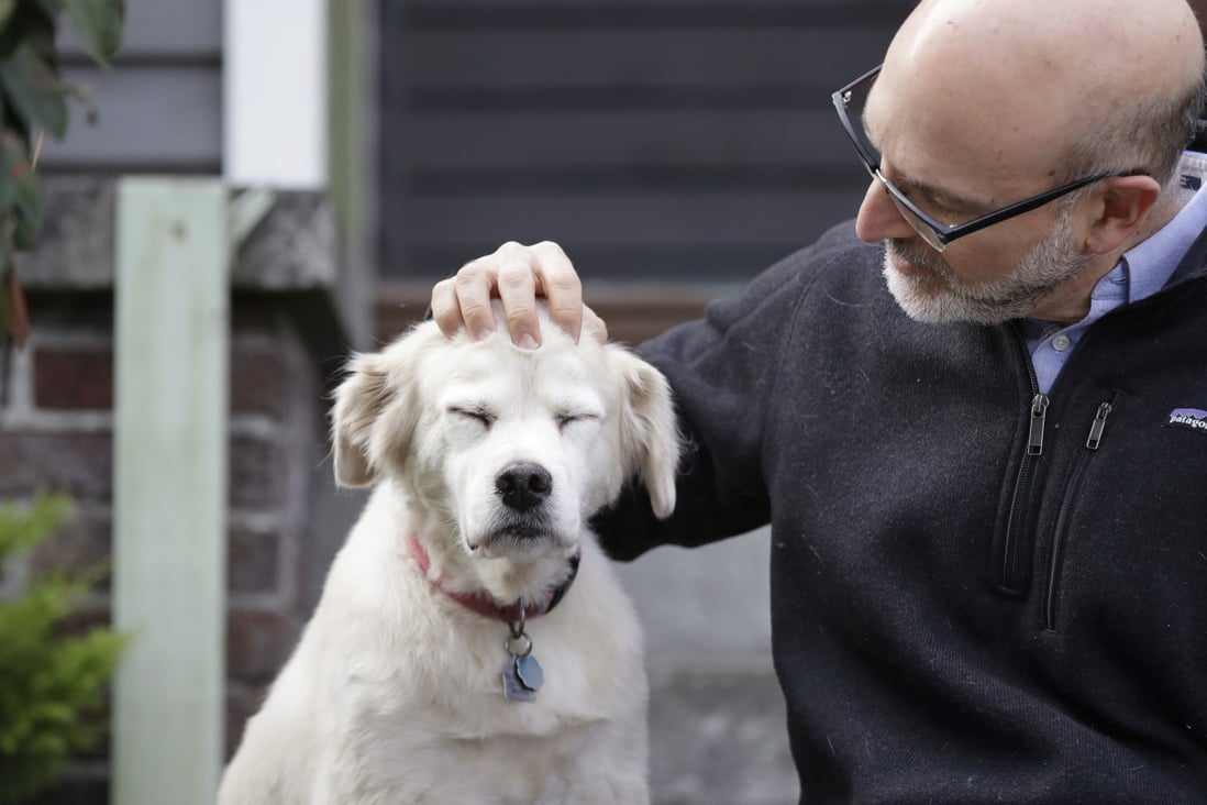 University of Washington School of Medicine researcher Daniel Promislow, the principal investigator of the Dog ageing Project grant, rubs the head of his elderly dog Frisbee at their home in Seattle on Monday. Photo: AP