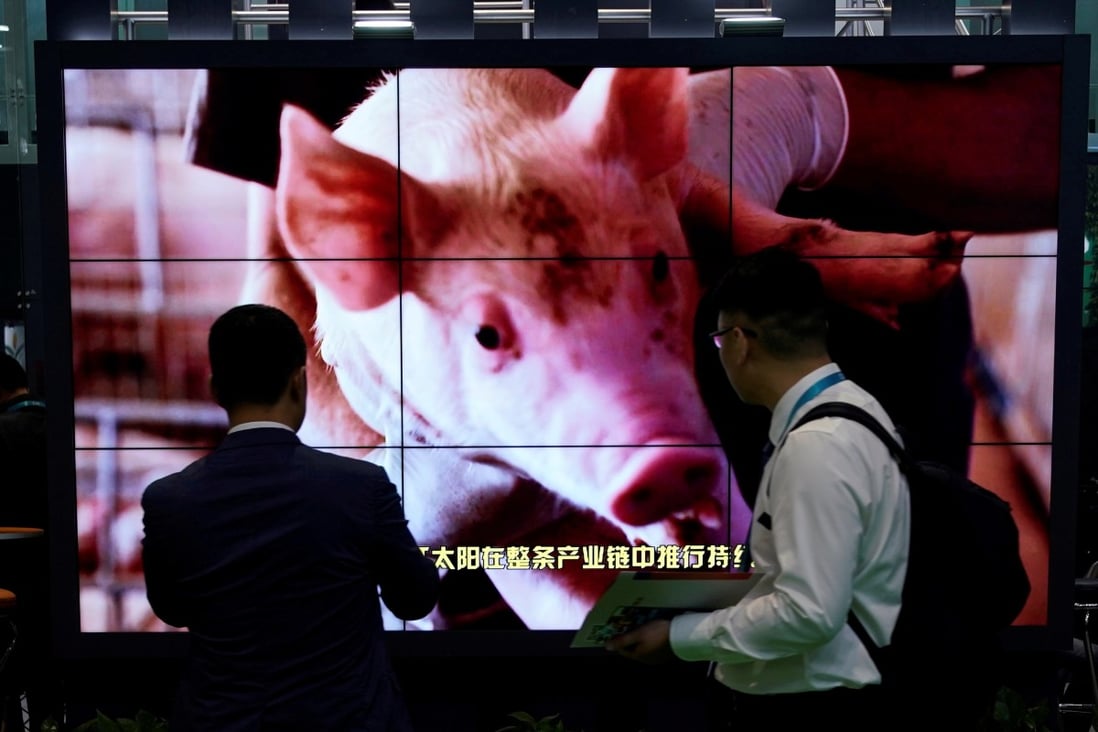 African Swine Fever has helped wipe out up to half of China’s pig population, cutting demand for US soybeans. Photo: Reuters