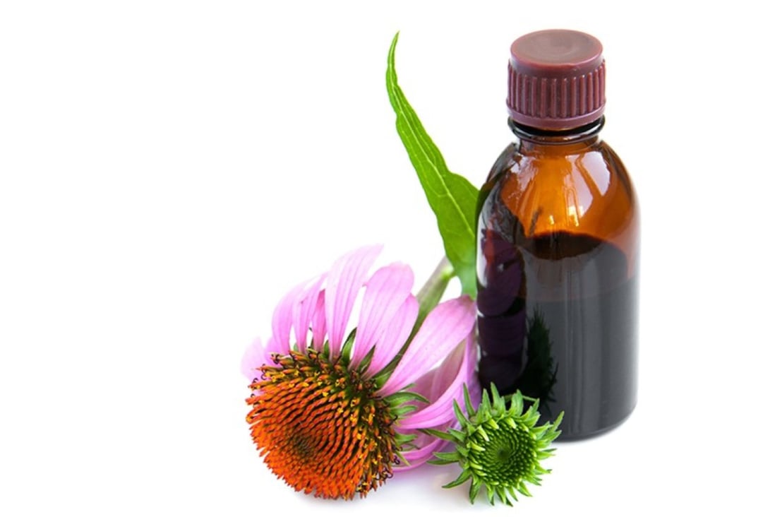 Echinacea is one of many natural remedies long celebrated as effective cold prevention methods.