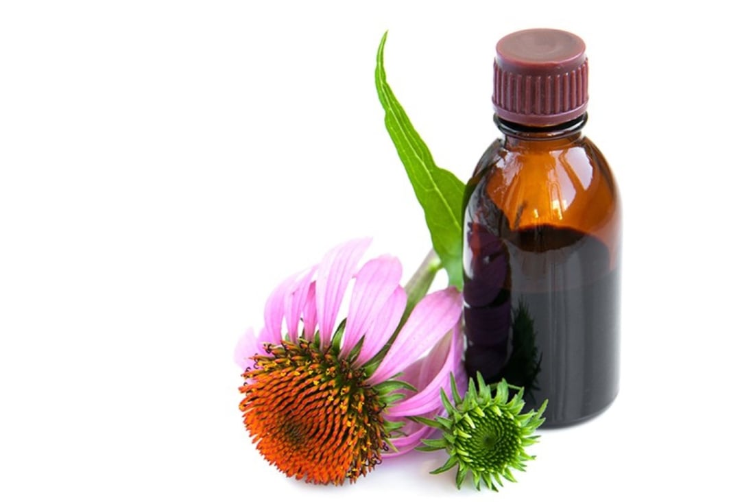 6 herbal remedies to boost your immune system as flu season kicks in | South China Morning Post 6 herbal remedies to boost your immune system as flu season kicks in | South China Morning Post