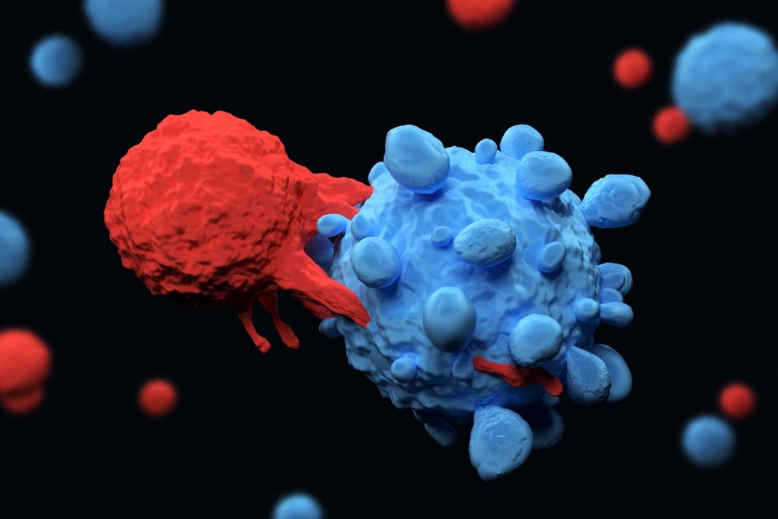 Developments in immunotherapy are helping people to fight cancer. Photo: Shutterstock