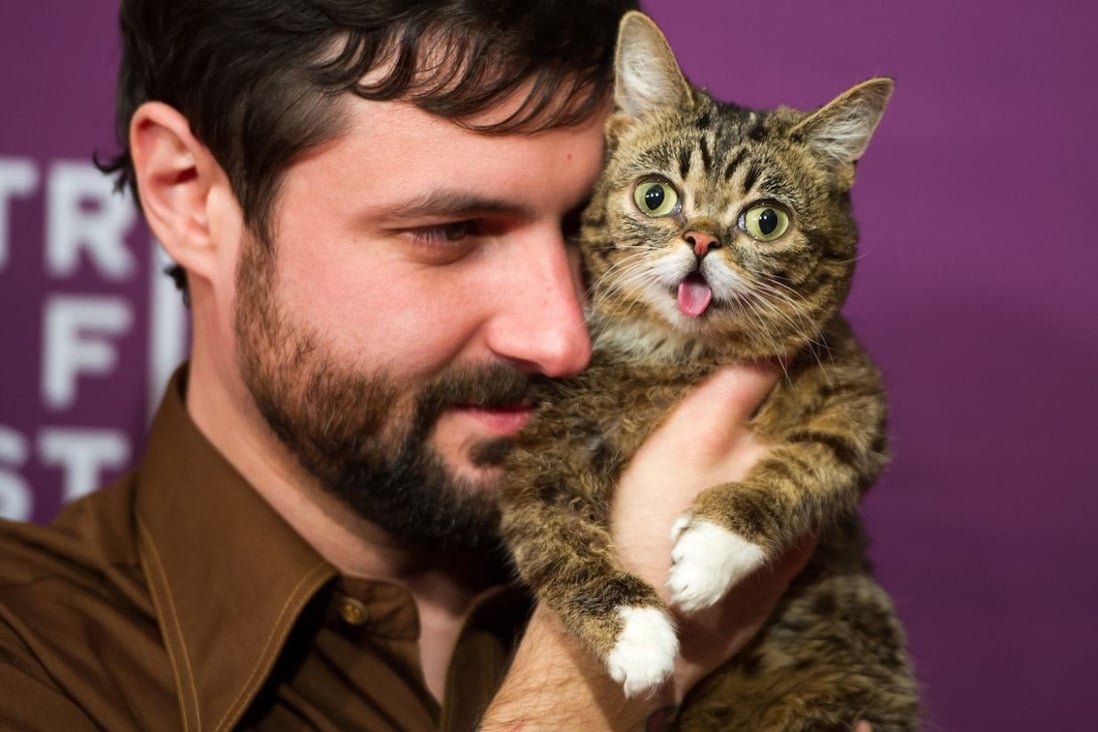 From Lil Bub (pictured), owned by Mike Bridavsky (left) to Doug the Pug, cats and dogs make such great social media influencers.