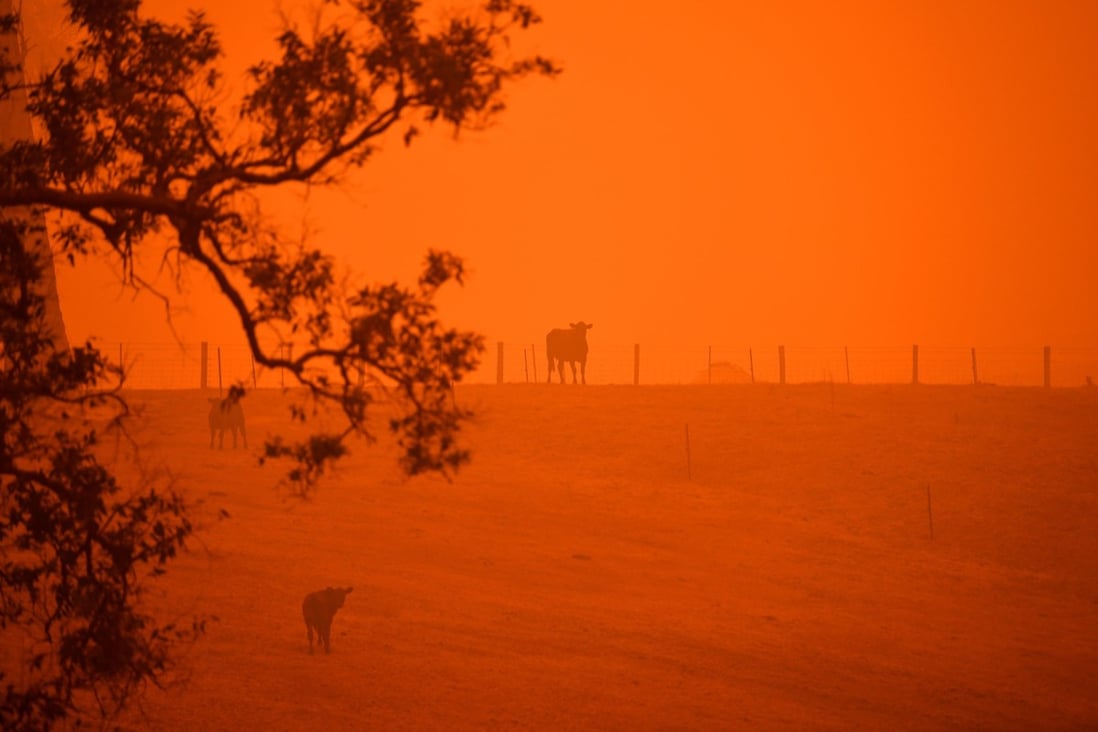 Nearly 15 Million Acres Burned In Australian Wildfires Killing Almost Half A Billion Animals Fox 59