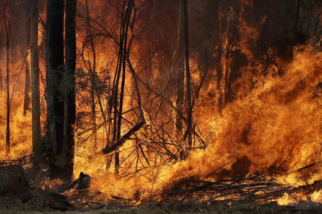 A fire burns near Tomerong, New South Wales, on Wednesday. Photo: AP