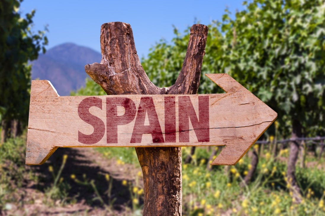 Spain grows more than 400 varieties of grape. Here are some to acquaint yourself with. Photo: Shutterstock