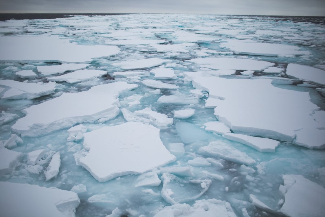 Dramatic sea ice floes, long a tourist draw in northern Japan’s Hokkaido, have become less predictable in recent years. Photo: Denis Sinyakov / Greenpeace