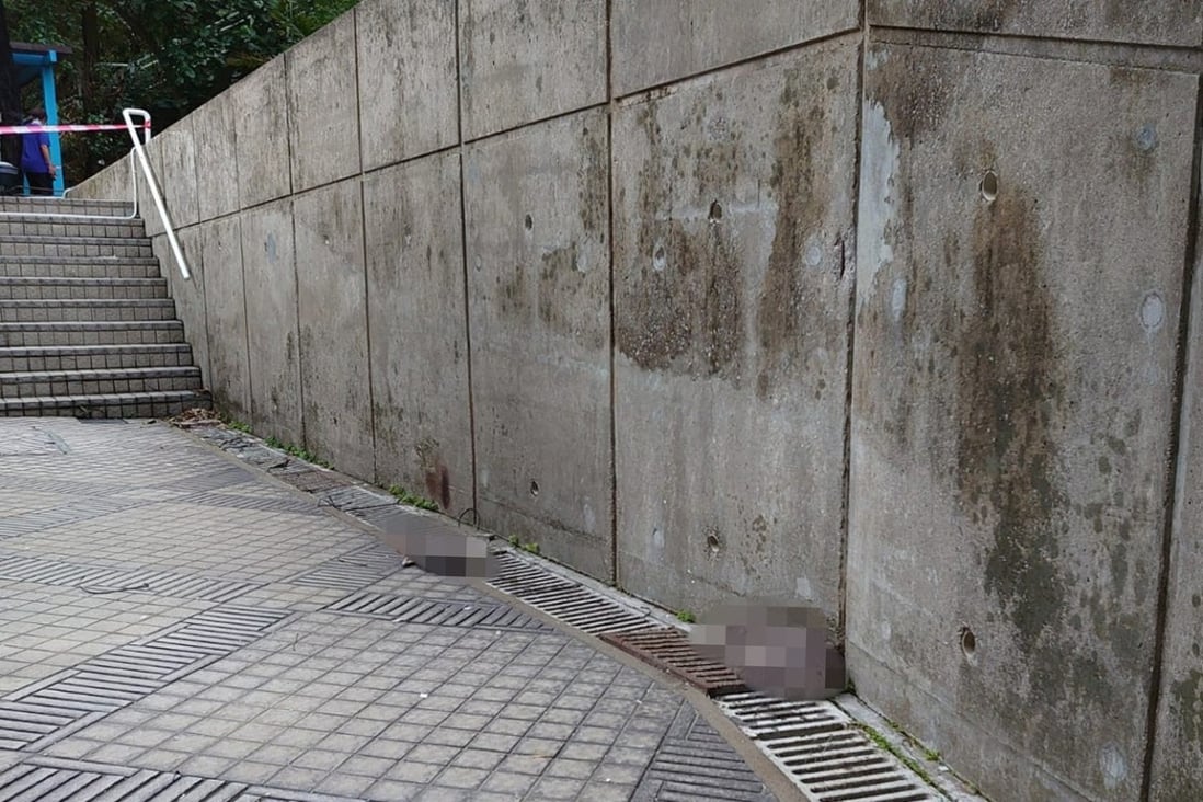 The animals were found either dead or severely injured next to the building. Photo: Handout