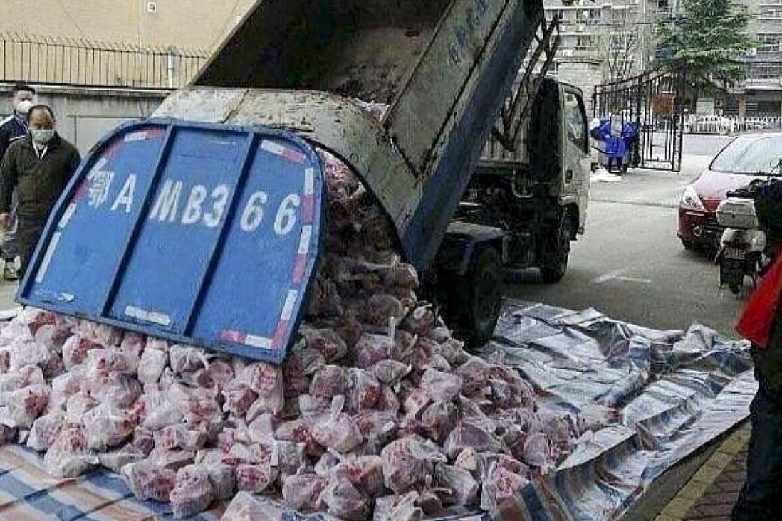 Residents in Wuhan say pork portions from government stores were tipped from a dirty rubbish truck onto the street before being distributed for human consumption. Photo: Weibo