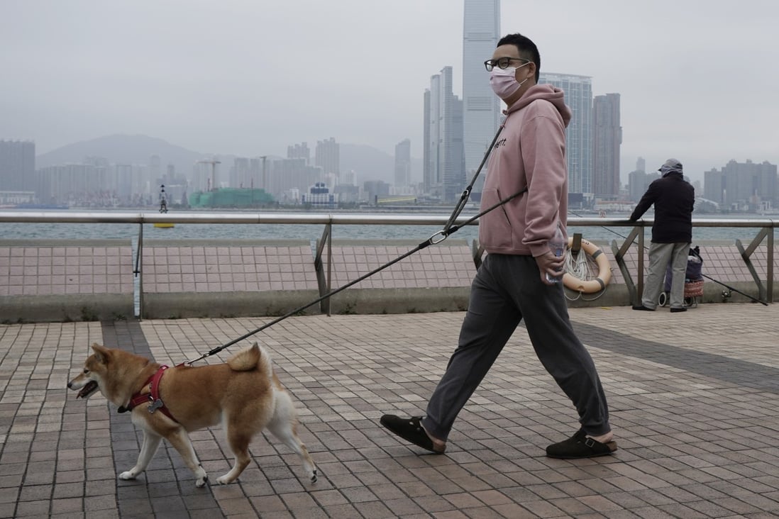 Coronavirus crisis in Hong Kong if pets can be infected, the people