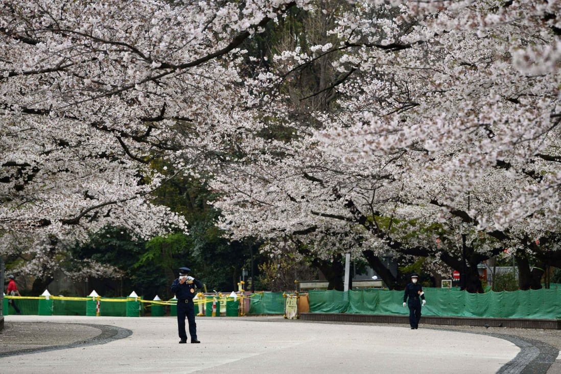 Security guards patrol a cherry blossom viewing spot in Ueno Park in Tokyo, Japan. April is Japan’s peak cherry blossom, or sakura, season, but the coronavirus has made tourists stay at home. Photo: AFP