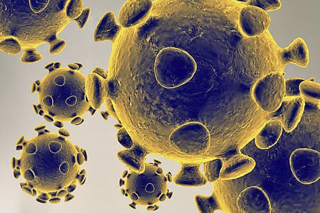 Research suggests the coronavirus that causes Covid-19 might have been around for years, only morphing into a lethal form sometime before the outbreak in 2019. Photo: AFP