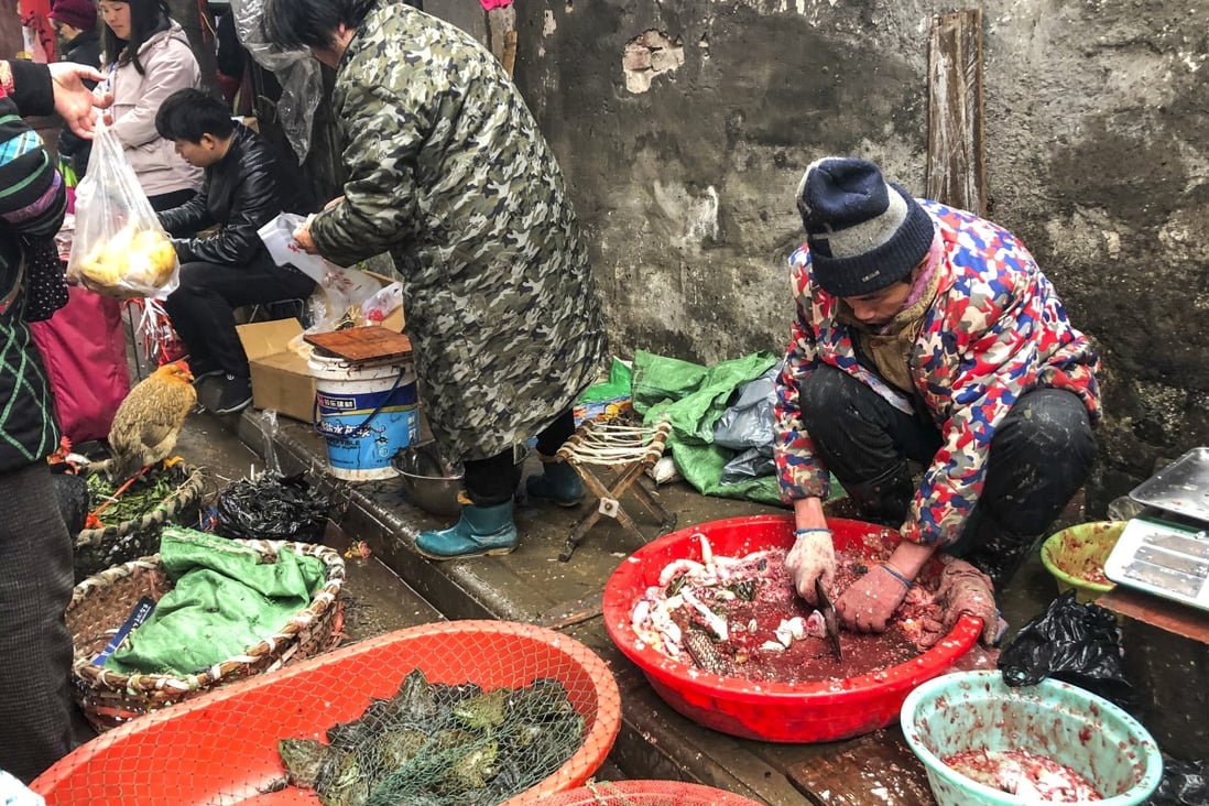 Experts say the conditions in wet markets increase the chances of a virus jumping from animals to humans. Photo: Simon Song