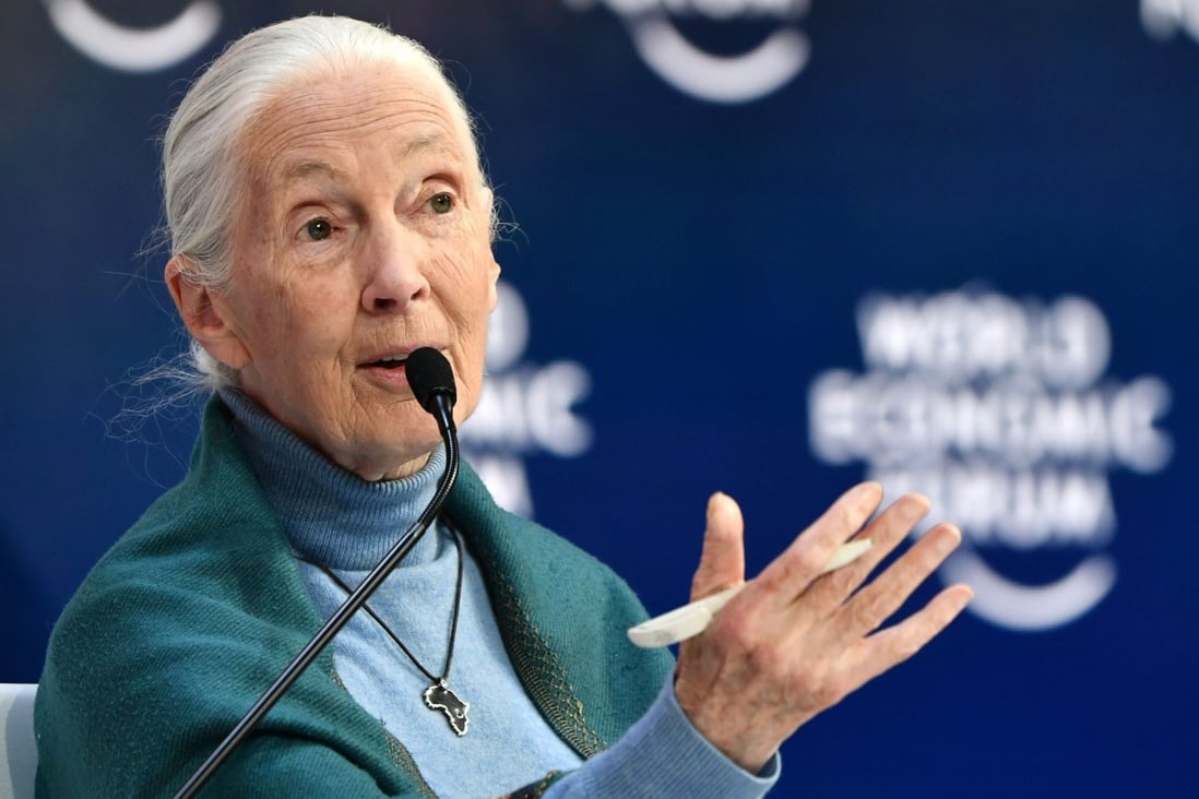 Jane Goodall speaks at the World Economic Forum in Davos, Switzerland, in January 2020. Photo: AFP