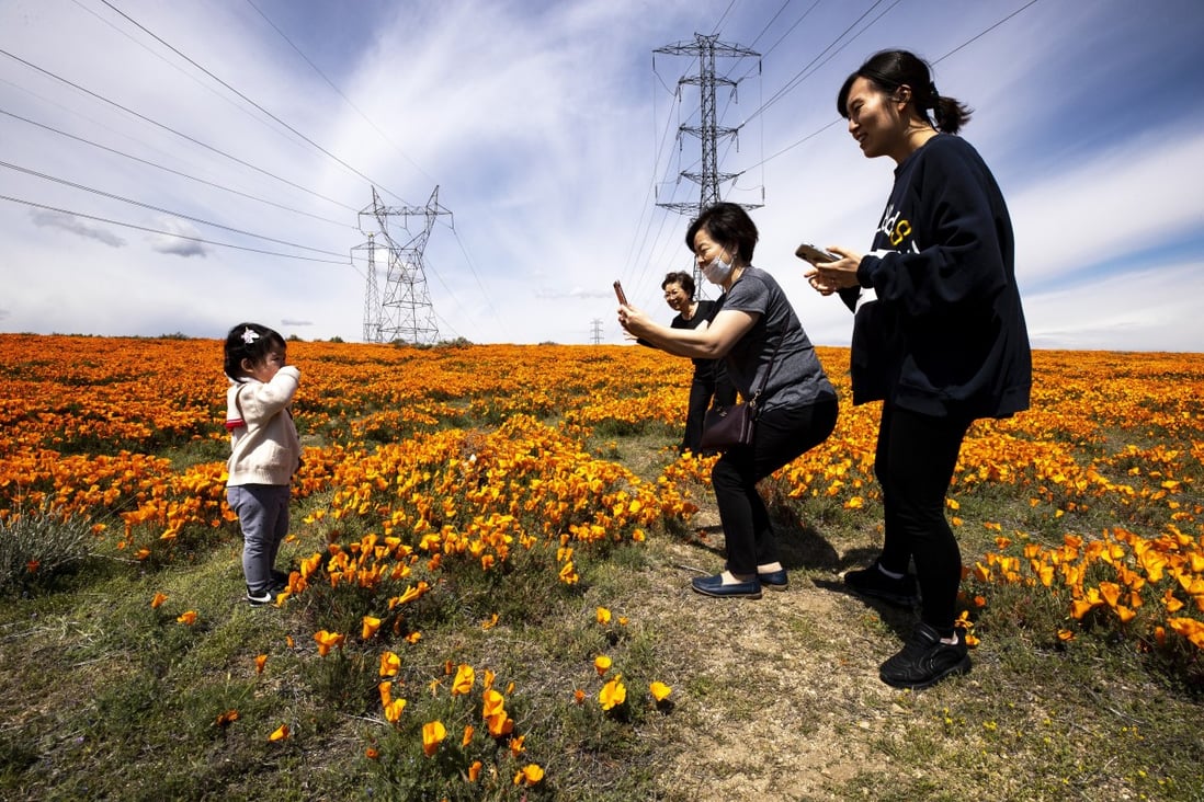 A family takes pictures in a field of blooming poppies in Lancaster, California, on April 17. The new RT.live website, introduced by Instagram co-founders Kevin Systrom and Mike Krieger, is expected to help citizens understand whether they are in danger, as parts of the US economy reopen amid the Covid-19 pandemic. Photo: EPA-EFE
