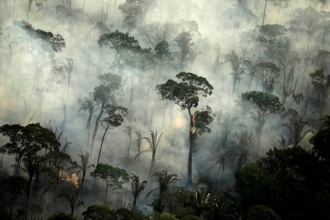 With World Distracted The Amazon Rainforest Continues To Burn South China Morning Post With World Distracted The Amazon Rainforest Continues To Burn South China Morning Post