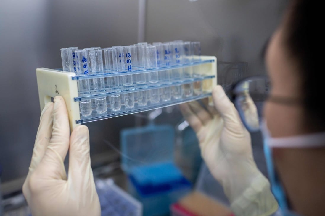 Coronavirus close Relative Found In Bats In China South China Morning Post