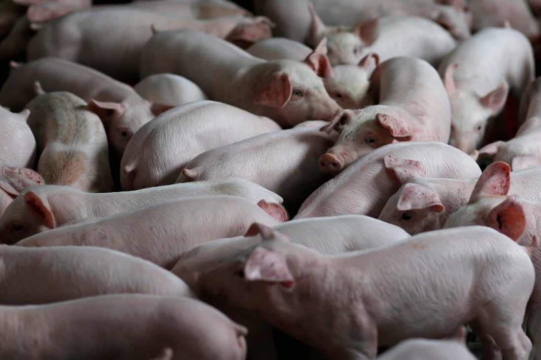 China Vanke, the nation’s third-largest home builder, is poised to make an unlikely move into pig farming. Photo: Reuters