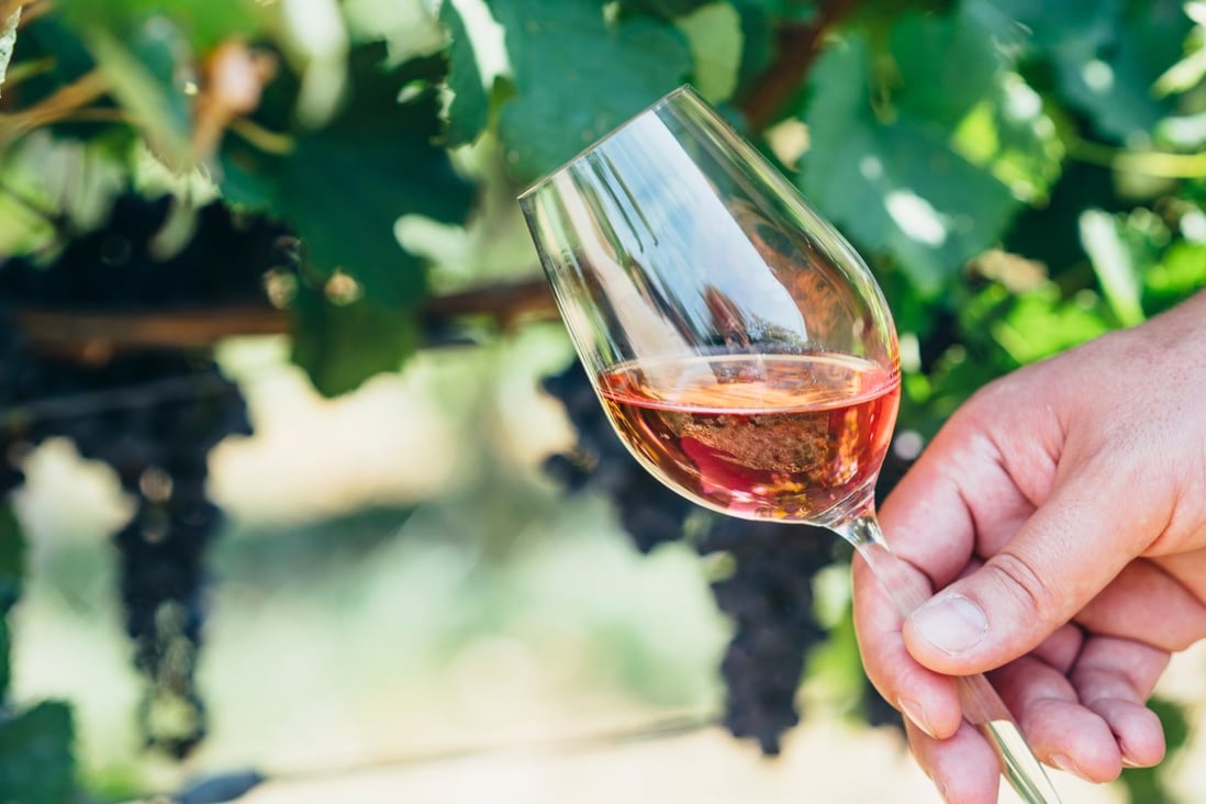 White zinfandel is actually a rosé and vastly outsells red zinfandel. Photo: Shutterstock