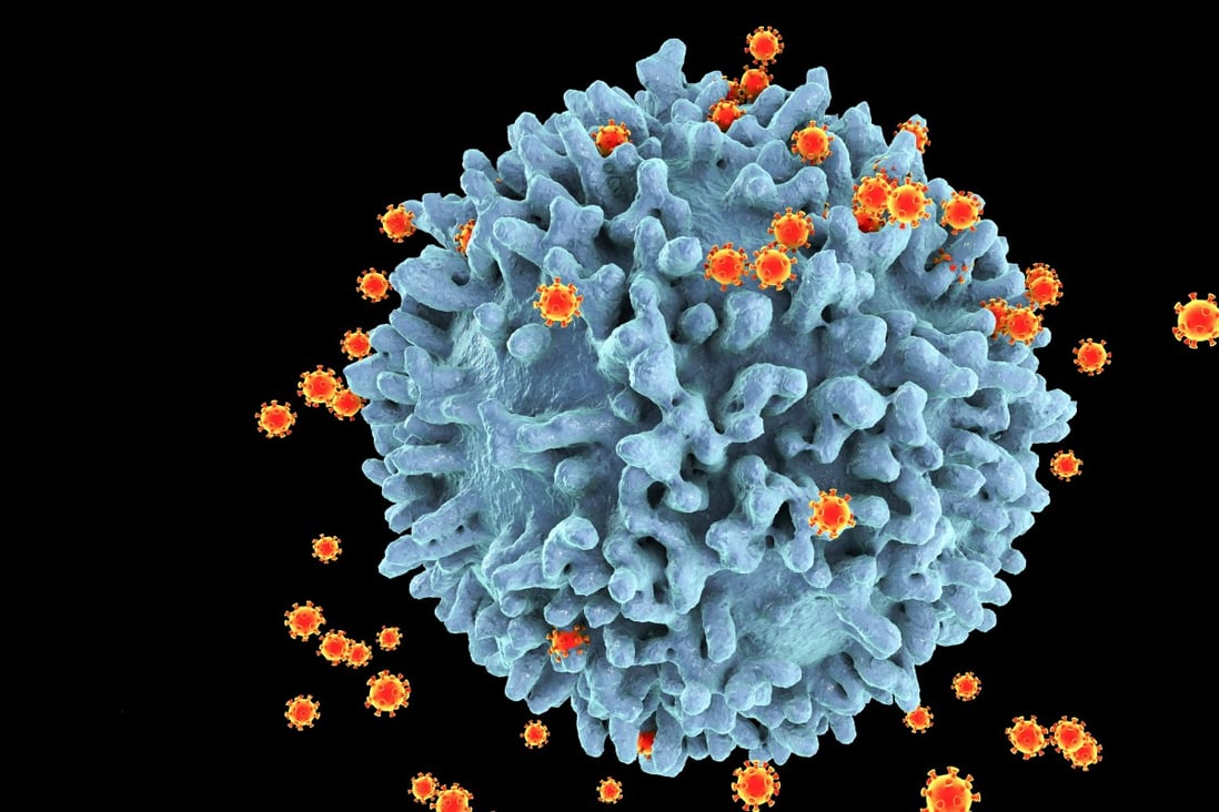 Like HIV, the new coronavirus was found to remove marker molecules on the surface of an infected cell so that it could evade attack. Photo: Shutterstock