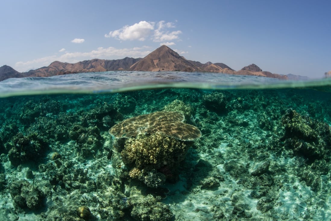 Coral islands may not be as threatened by rising sea levels as previously thought. A study shows that coral islands rise as waves deposit sand on land. Photo: Getty Images