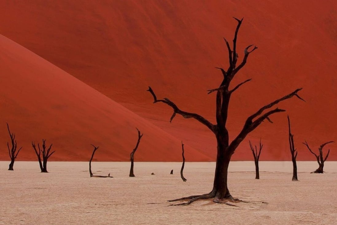Sossusvlei, Namibia – an African landscape worth visiting for more than the animals. Photo: @letusgophoto/Instagram