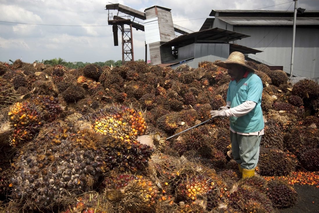 A man works at a palm oil fruit collection centre in Dangkil, outside Kuala Lumpur. File photo: AP