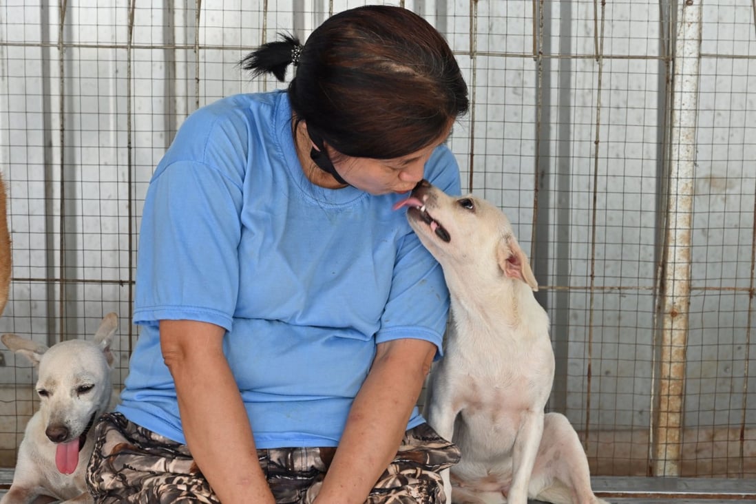 Indonesian doctor Susana Somali sits with dogs at her rescue shelter in Jakarta. Photo: AFP