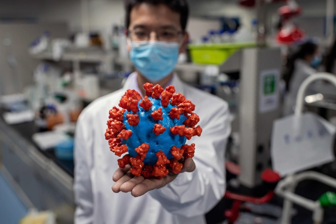 An engineer with a plastic model of the COVID-19 coronavirus at the Sinovac Biotech facilities in Beijing. Photo: AFP