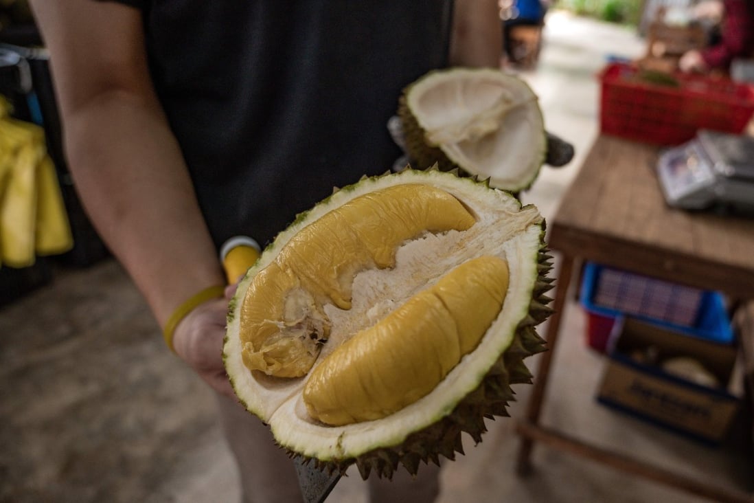 A worker shows a ‘Musang King’ variety of durian called at a shop in Kuala Lumpur. Photo: AFP
