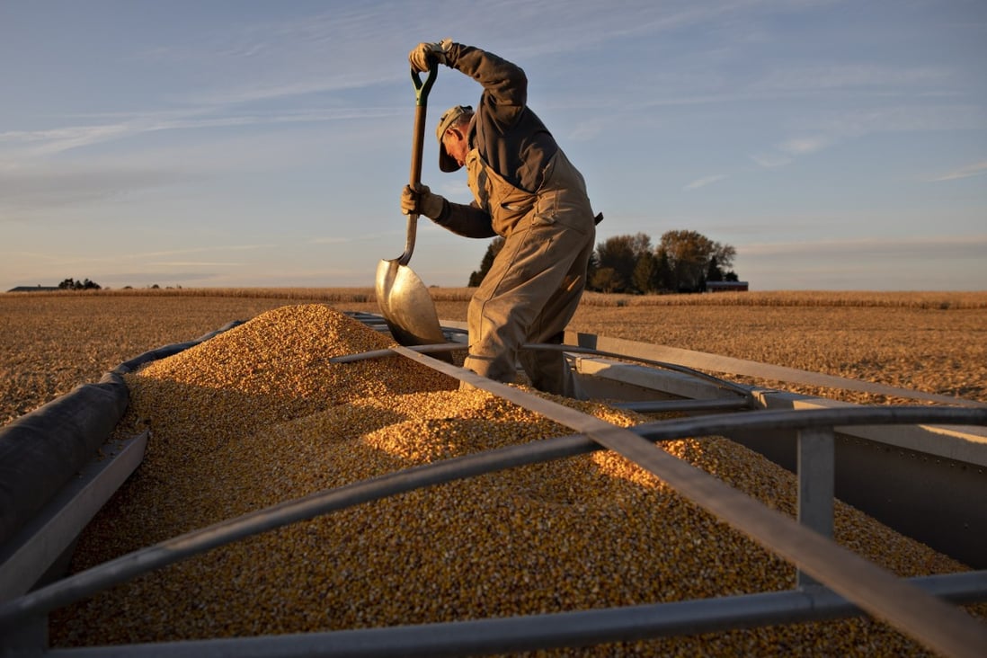 Having started to make purchases in March, China has ramped up its purchase of US corn since the start of July, having not made any in June, placing orders totalling 4.19 million tonnes this year for delivery over the next two years. Photo: Bloomberg