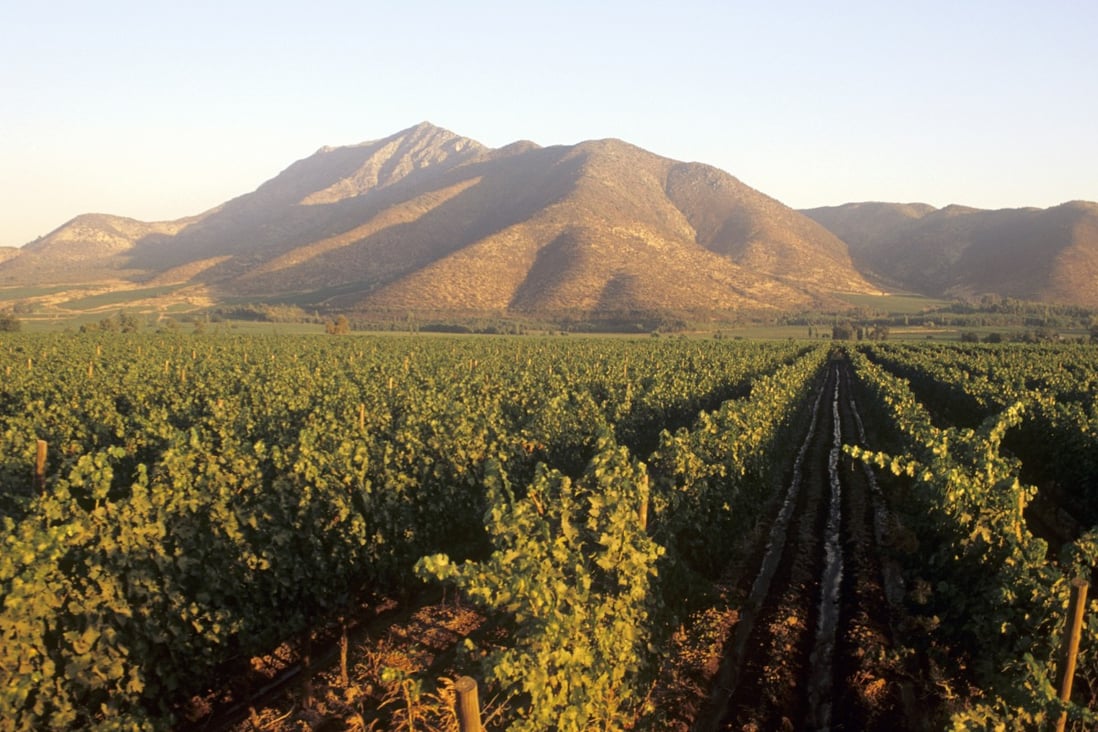 Chile has successfully penetrated the Chinese wine market and is making inroads with its fruit exports. Photo: Handout