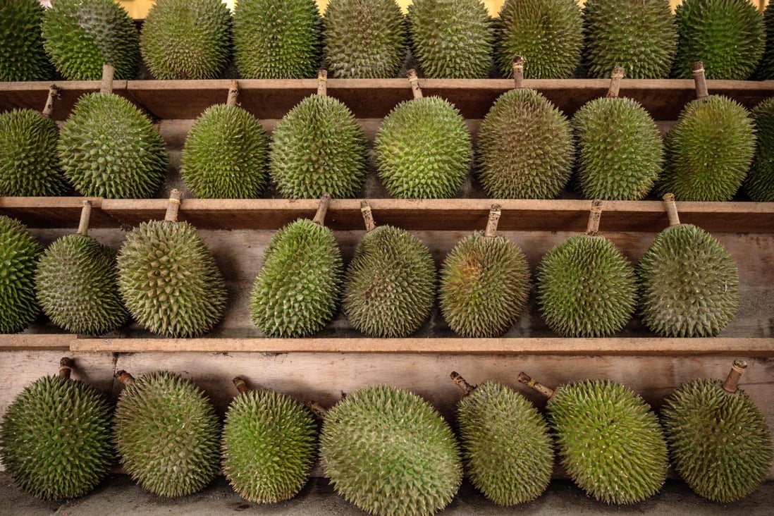 Durian sellers moved their fruit online during the lockdown, and saw hundreds of orders a day. Photo: Agence France-Presse