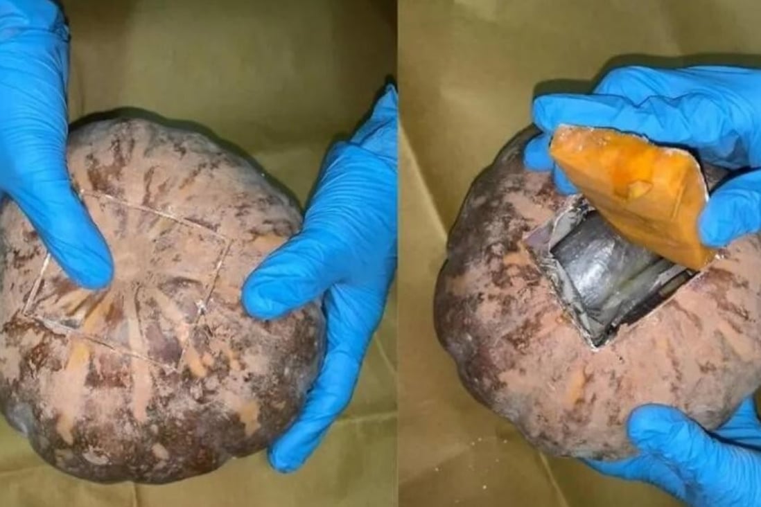Drugs including heroin and Ecstasy tablets were found hidden in two pumpkins during a search at a Singaporean’s home. Photo: Central Narcotics Bureau /Today Online