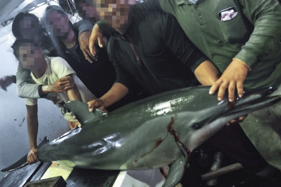 Indonesian crew with an illegally killed dolphin aboard a Taiwanese vessel. Photo: Handout/Environmental Justice Foundation