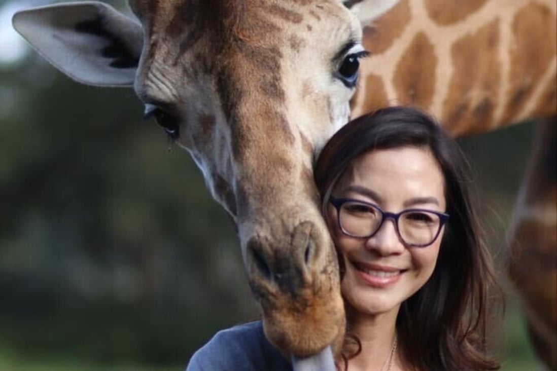Malaysia’s Michelle Yeoh, martial arts expert and star of Crazy Rich Asians, Memoir of a Geisha and Crouching Tiger, Hidden Dragon, works on behalf of many global charities. Photo: Kit Wong