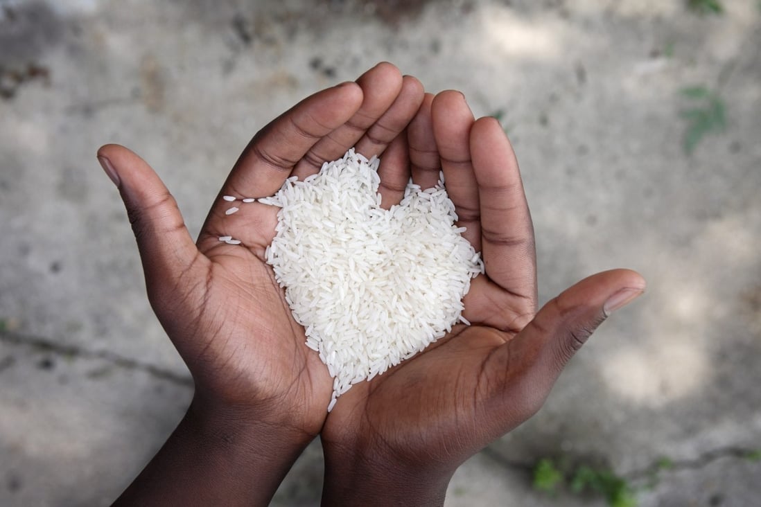 South Korea’s Rural Development Administration hopes its Headeul and Alchanmi rice will prove more popular than their Japanese counterparts. Photo: Shutterstock