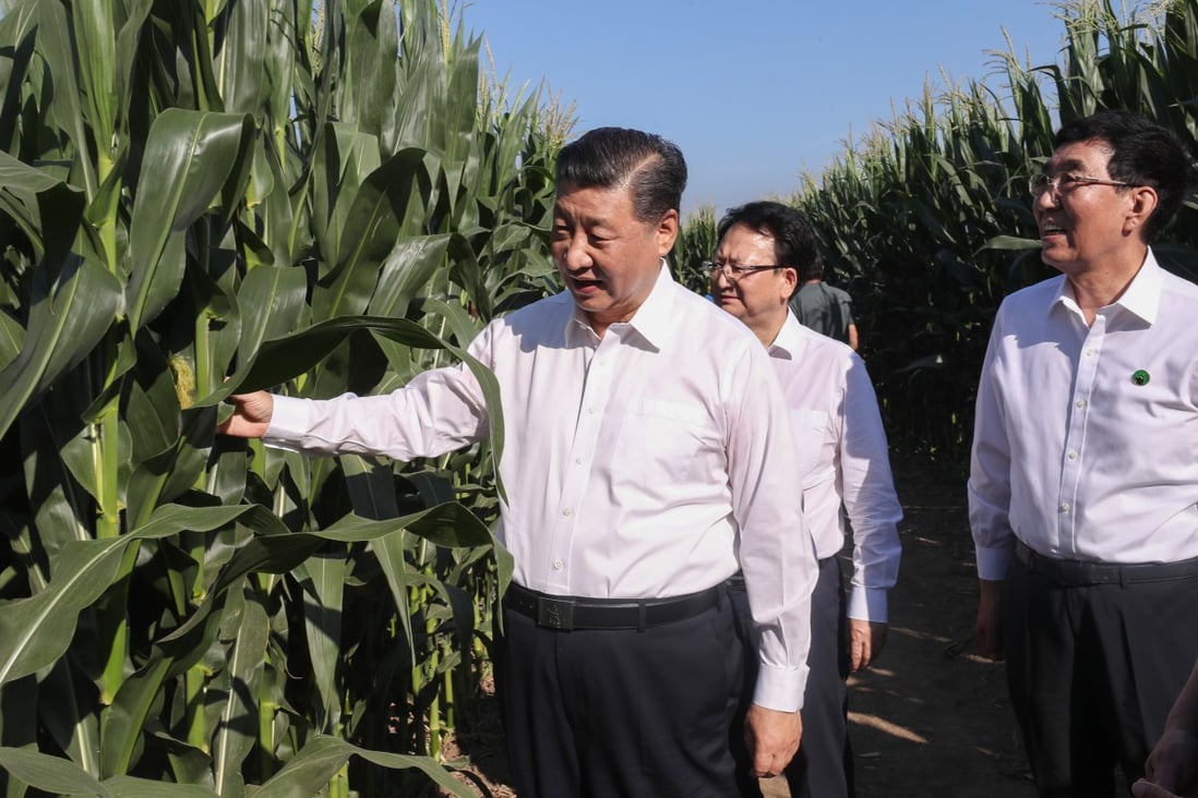 Chinese President Xi Jinping has targeted “shocking” food waste. Photo: Xinhua