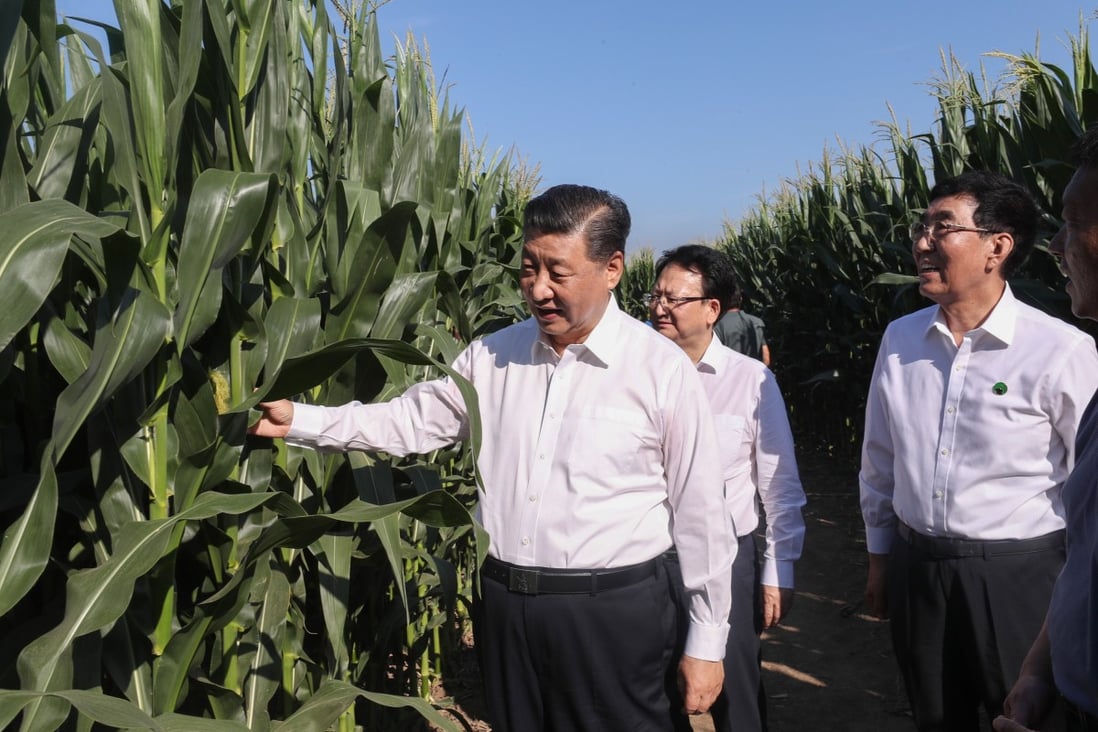 Chinese President Xi Jinping at a demonstration zone for green food production in Lishu County of Siping City, northeast China's Jilin Province. Photo: Xinhua