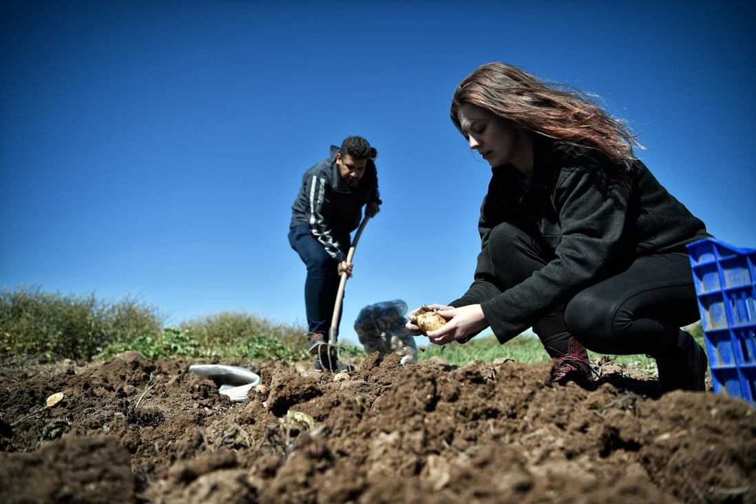 In Greece, agritourism is seen as an alternative to mass package tourism. Photo: AFP