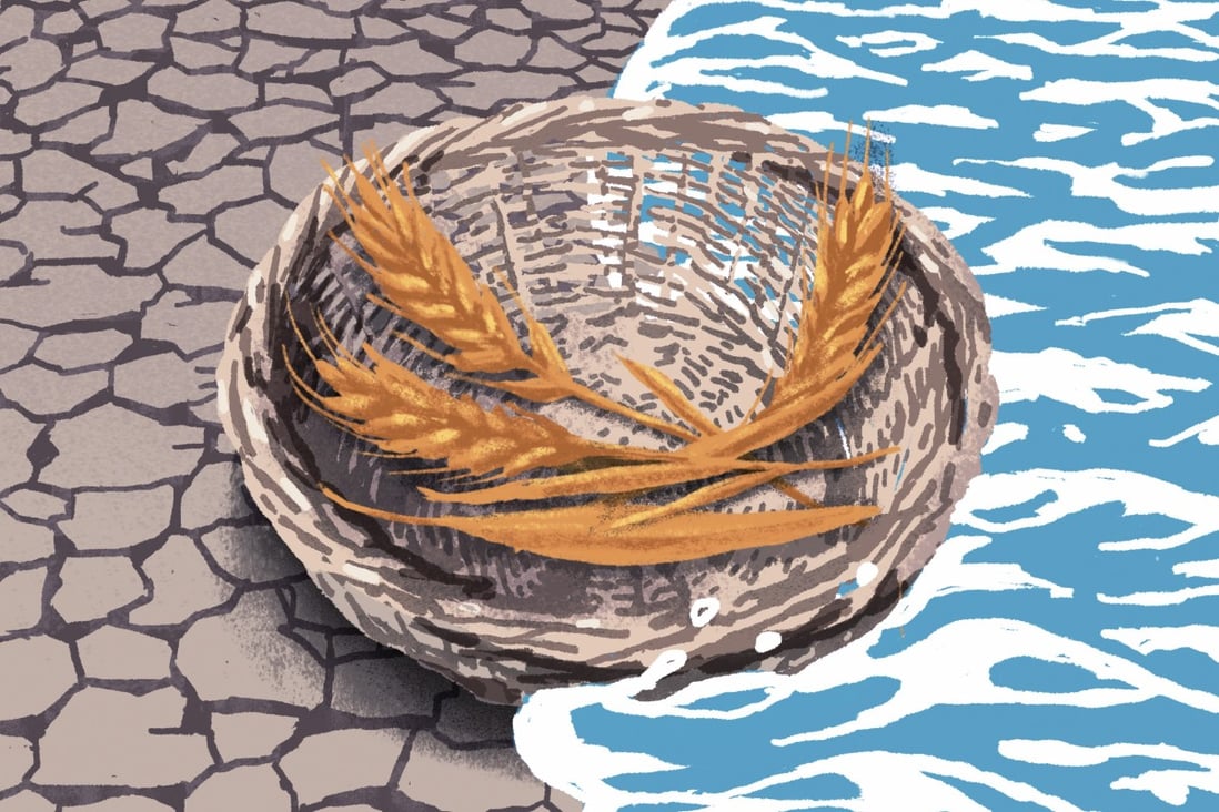Drought and flooding have stoked concern about China’s grain supply this year. Illustration: Perry Tse