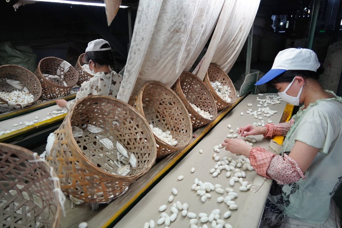 Workers pick silkworm cocoons at a silk company in China's Shaanxi Province. The material is being used to develop a new type of memory storage. Photo: Xinhua