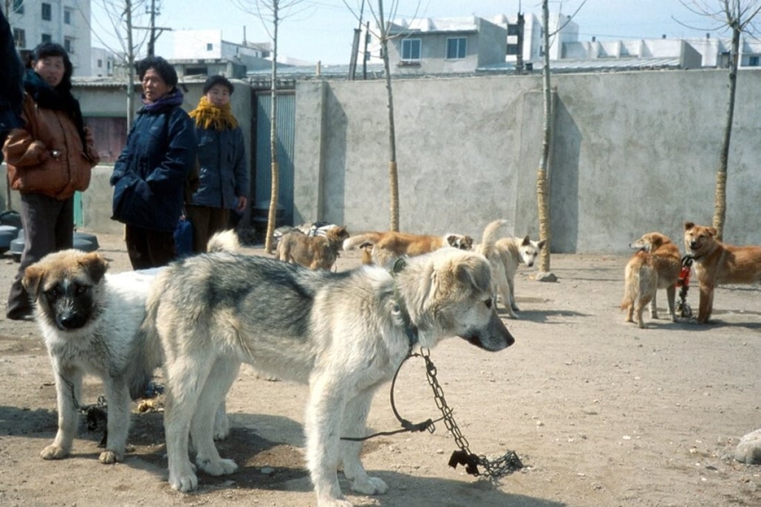 Live dogs on sale in North Korea. File photo