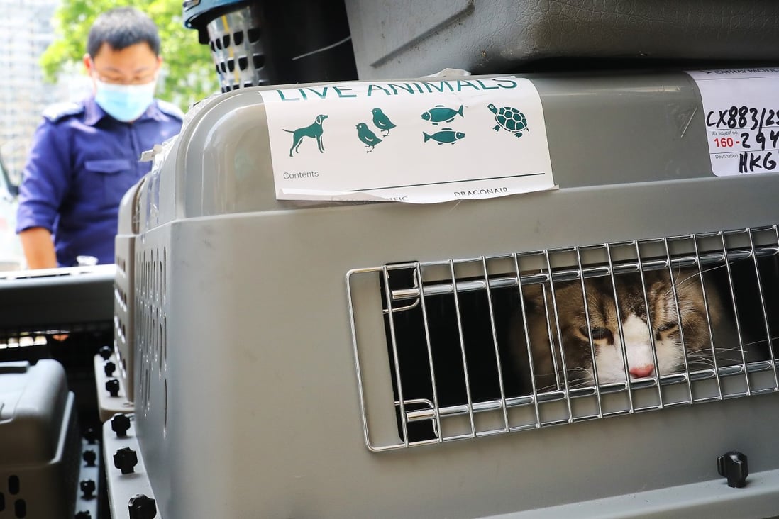 Another police operation relating to pet smuggling was held on Monday following last week’s raid on the Pet Oasis animal hotel. Photo: Dickson Lee