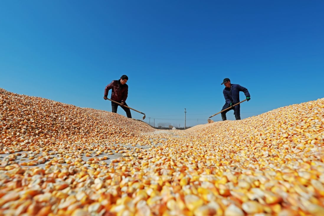 The issue of grain security has grown more prominent in China in recent months. Photo: Shutterstock