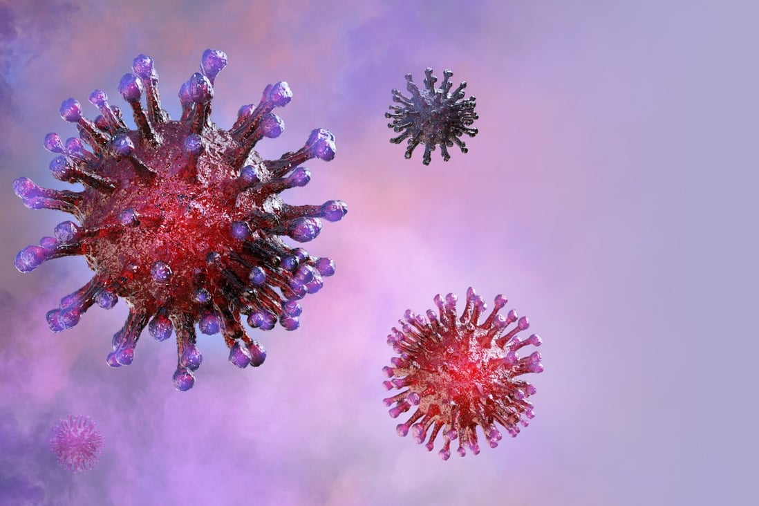 A 3D medical illustration of the coronavirus. Photo: Handout