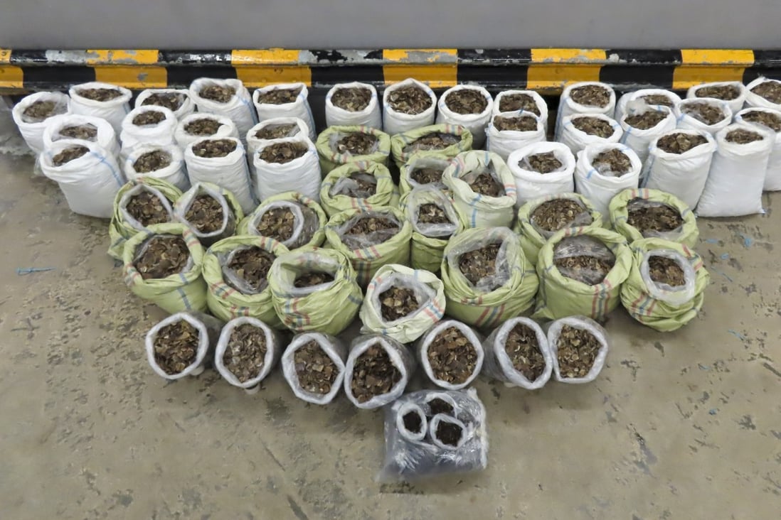 Hong Kong’s biggest seizure of pangolin scales so far this year was made this month. Photo: Handout