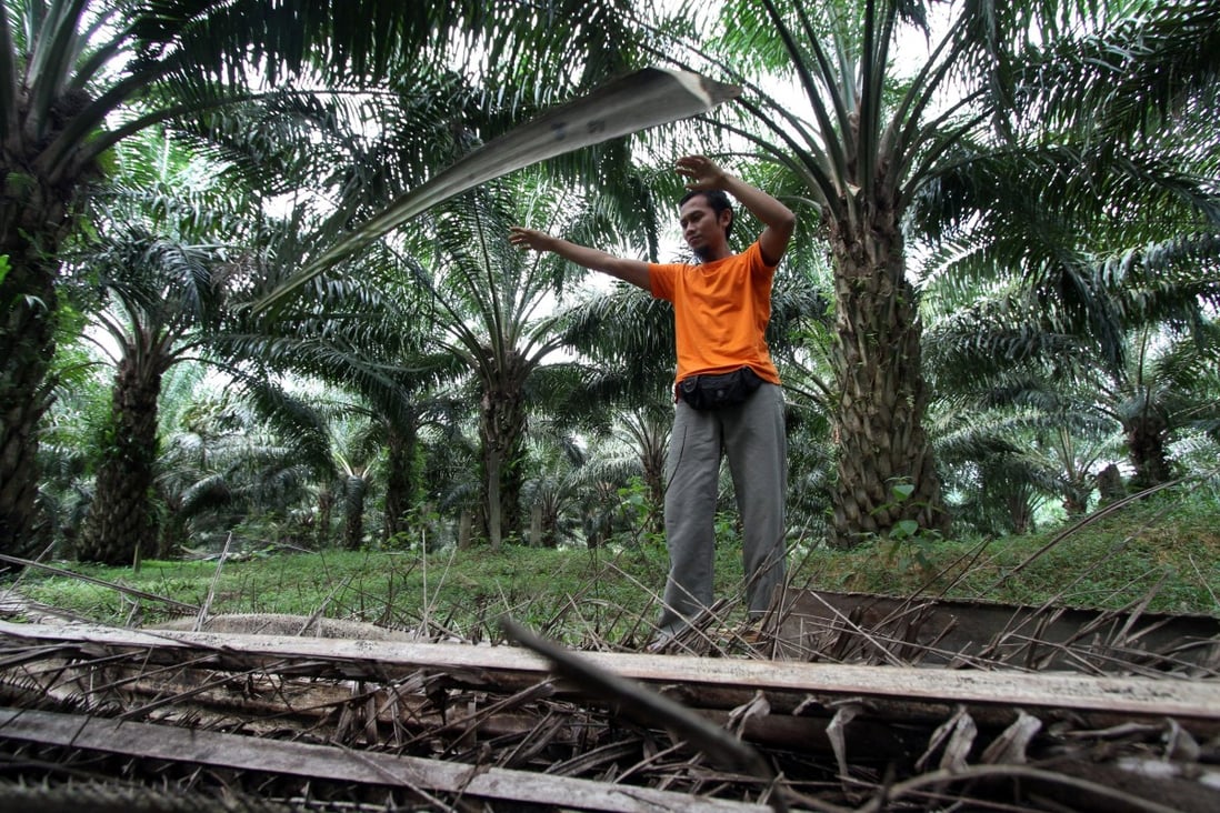 A farmer works at a palm oil plantation in Malaysia’s eastern town of Bukit Kuantan. Photo: AFP